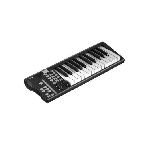 Icon Artist 25X MIDI-клавиатура, 25 клавиш