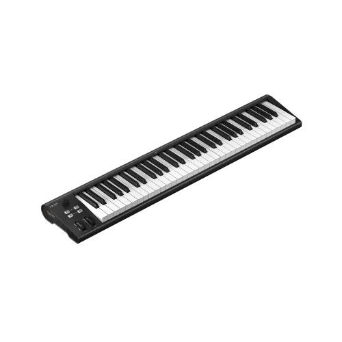 Icon Artist 61 MIDI-клавиатура, 61 клавиша