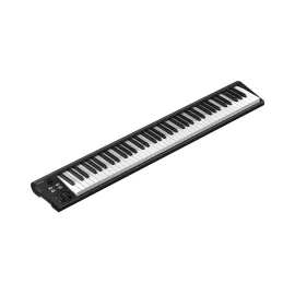 Icon Artist 88 MIDI-клавиатура, 88 клавиш