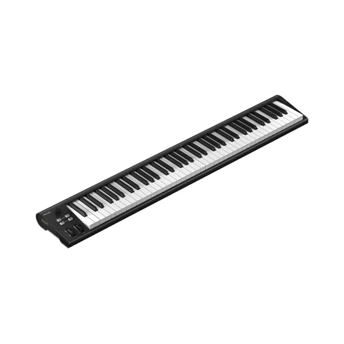 Icon Artist 88 MIDI-клавиатура, 88 клавиш