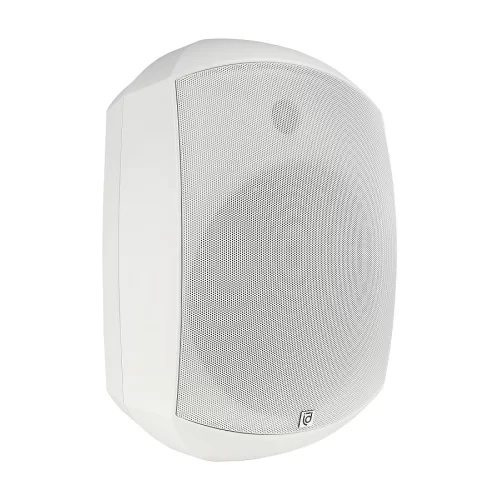 Intrend ITSPK-MSK8-W Настенная АС, 12,5/25/50/100 Вт., 8", 100V/70V/8Ом, IP66