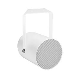 LD Systems CE P10 Звуковой прожектор, 10 Вт., 100 В, 5", IP55