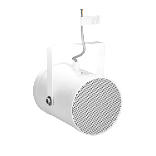 LD Systems CE PB10 Звуковой прожектор, 2,5/5/10 Вт., 100 В, 2х5", IP55