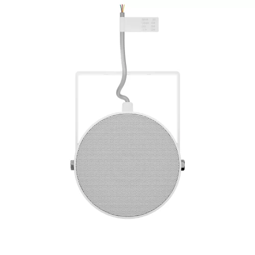 LD Systems CE PB10 Звуковой прожектор, 2,5/5/10 Вт., 100 В, 2х5", IP55
