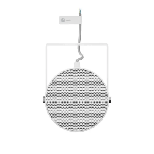 LD Systems CE PB10 Звуковой прожектор, 2,5/5/10 Вт., 100 В, 2х5", IP55