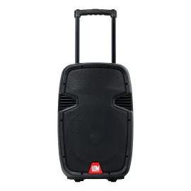 Leem PR-12HR Портативная АС, 120 Вт., 12", MP3, Bluetooth, 2 радиомикрофона
