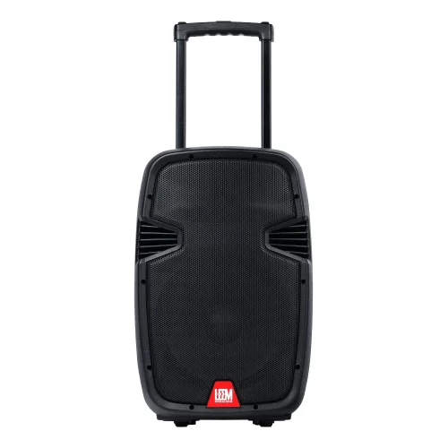 Leem PR-15HR Портативная АС, 100 Вт., 15", MP3, Bluetooth, 2 радиомикрофона