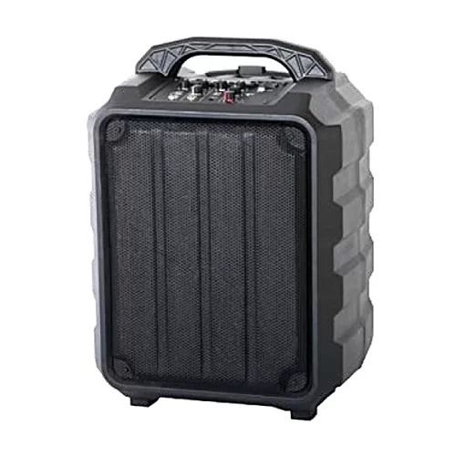 Leem PR-6 Портативная АС, 25 Вт., 8", MP3, Bluetooth