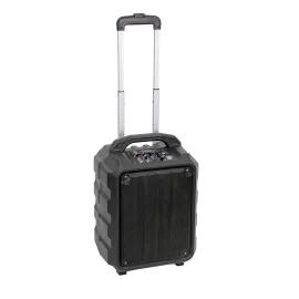 Leem PR-6 Портативная АС, 25 Вт., 8", MP3, Bluetooth