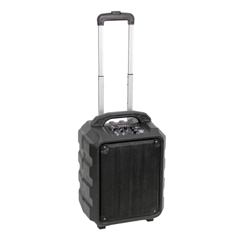 Leem PR-6 Портативная АС, 25 Вт., 8", MP3, Bluetooth