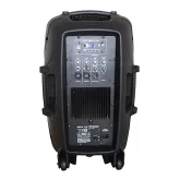 Leem SPA-12 Активная АС, 100 Вт., 12", MP3, Bluetooth
