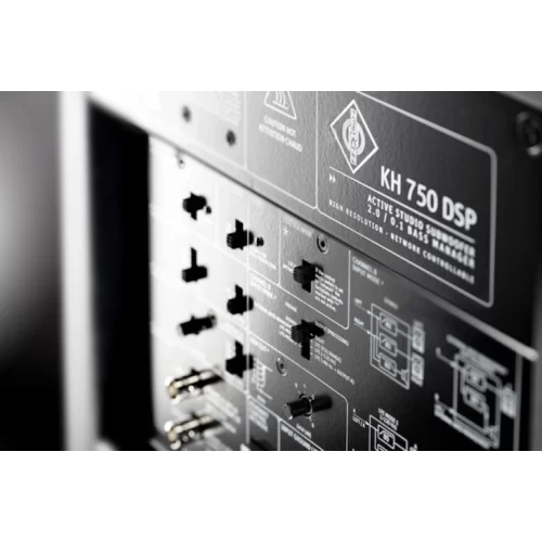 Neumann KH 750 DSP D G Студийный сабвуфер, 10"