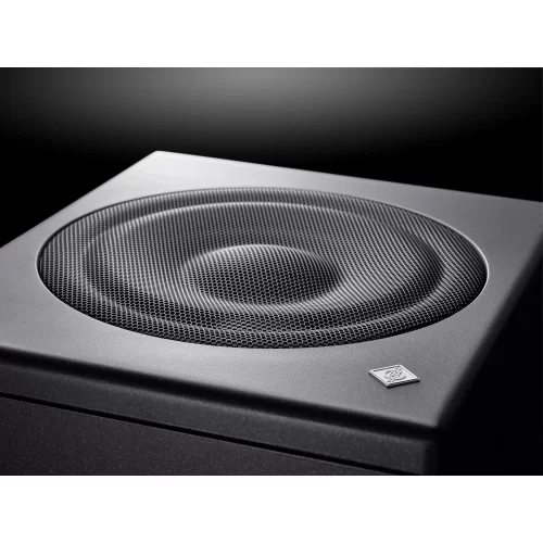 Neumann KH 750 DSP D G Студийный сабвуфер, 10"