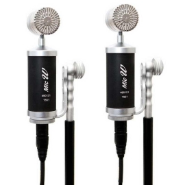 MicW T551 Pair Подобранная пара микрофонов