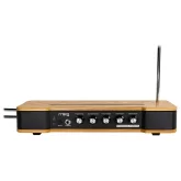 Moog Etherwave Theremin Standard Терменвокс
