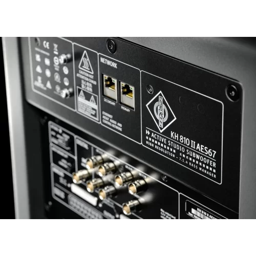 Neumann KH 810 II AES67 Студийный сабвуфер, 180 Вт., 10", AES67