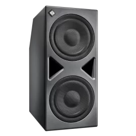 Neumann KH 870 II Студийный сабвуфер, 360 Вт., 2x10"