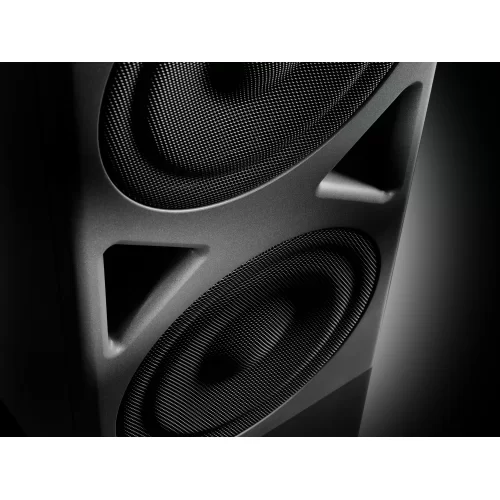 Neumann KH 870 II Студийный сабвуфер, 360 Вт., 2x10"