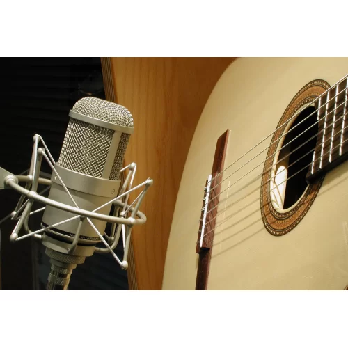Neumann M 147 Tube Single Ламповый микрофон