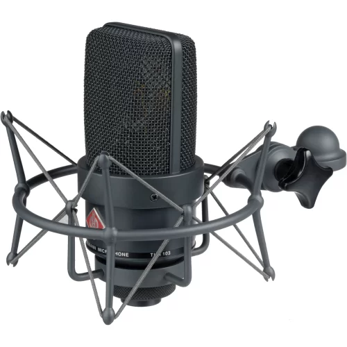 Neumann TLM 103 MT STEREO SET Студийный микрофон