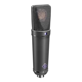 Neumann U 89 I MT Студийный микрофон