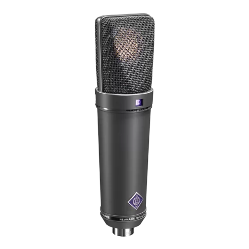 Neumann U 89 I MT Студийный микрофон