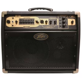 Peavey Ecoustic E110 Комбоусилитель для акустической гитары, 100 Вт., 10"