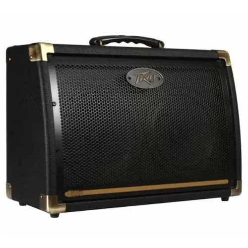 Peavey Ecoustic E208 Комбоусилитель для акустической гитары, 20 Вт., 2x8"