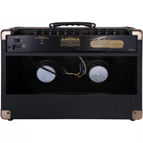 Peavey Ecoustic E208 Комбоусилитель для акустической гитары, 20 Вт., 2x8"