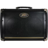 Peavey Ecoustic E208 Комбоусилитель для акустической гитары, 20 Вт., 2x8"