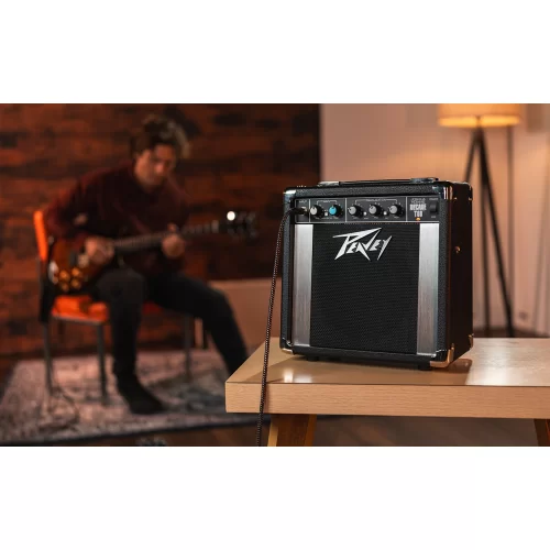 Peavey Joshua Homme Decade Too Гитарный комбоусилитель, 10 Вт., 8"
