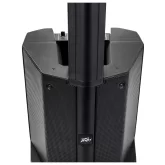 Peavey LN 1063 Активная АС, 500 Вт.