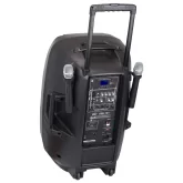 PEAVEY PBK 15FM Пассивная АС, 560 Вт, 15"