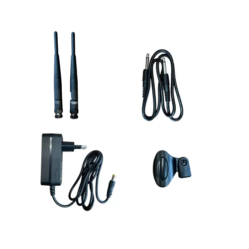 Qtex QAS NX450PH Радиосистема с двумя ручными микрофонами