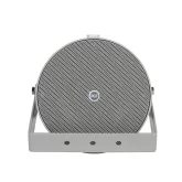 RCF BD 42 Звуковой прожектор двунаправленный, 2x5", 12/6/3 Вт., 100 В