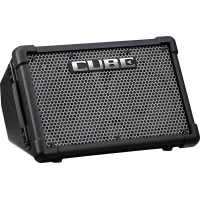 Roland CUBE Street EX (CUBE-STEX) Гитарный комбоусилитель, 50 Вт., 2x8"