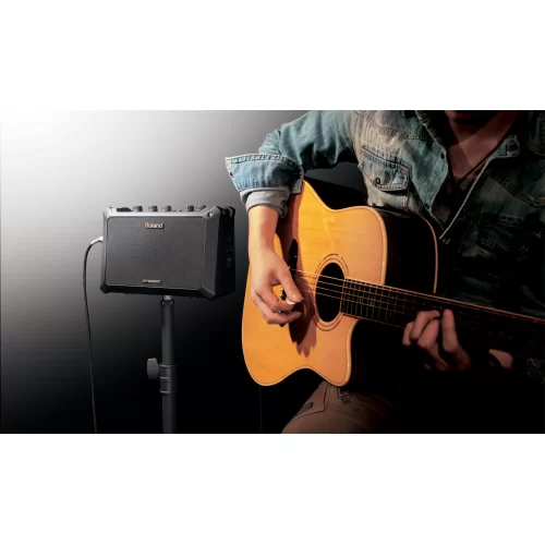 Roland MOBILE AC Акустический комбоусилитель, 5 Вт., 4"
