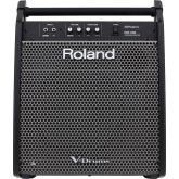 Roland PM-200 Комбо для барабанщиков, 180 Вт., 12"