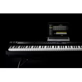 Roland RD-88 Цифровое пианино