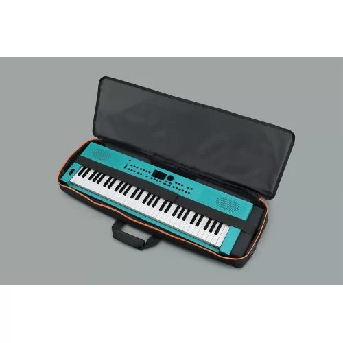 Roland CB-V61 Чехол для синтезатора на 61 клавишу
