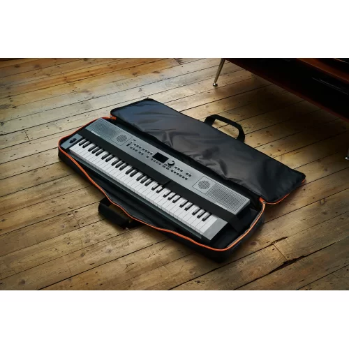 Roland CB-V61 Чехол для синтезатора на 61 клавишу