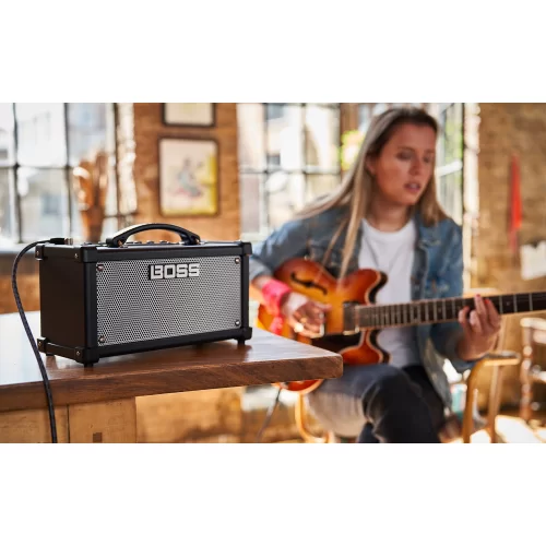 Roland Dual Cube LX Автономный гитарный комбоусилитель, 10 Вт., 2х4"