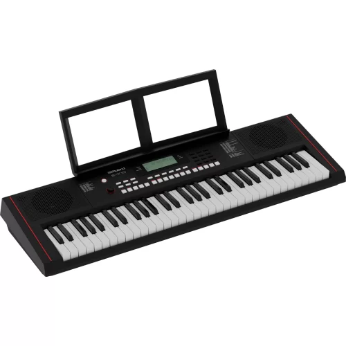 Roland E-X10 Синтезатор с автоаккомпанементом