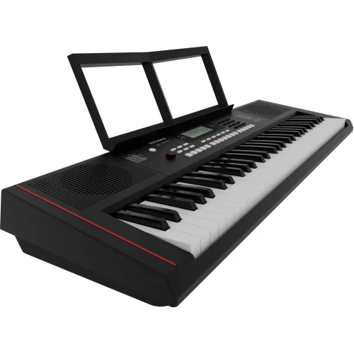 Roland E-X10 Синтезатор с автоаккомпанементом