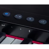 Roland GO-88PX Цифровое пианино