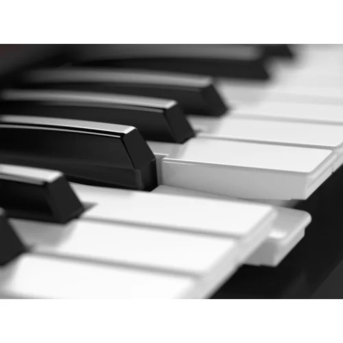Roland Juno-DS61 Синтезатор