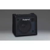 Roland KC-200 Клавишный комбо-усилитель, 100 Вт.