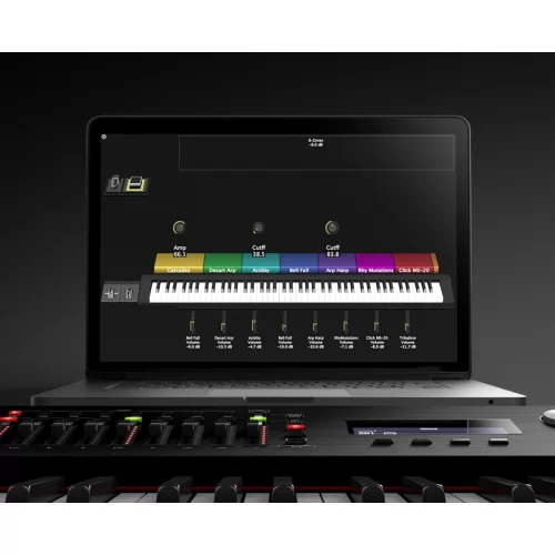 Roland RD-2000 EX Цифровое пианино
