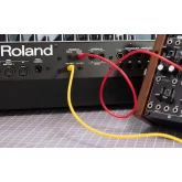 Roland TR-1000 Аналоговая драм-машина
