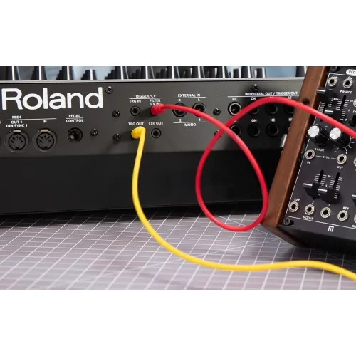 Roland TR-1000 Аналоговая драм-машина